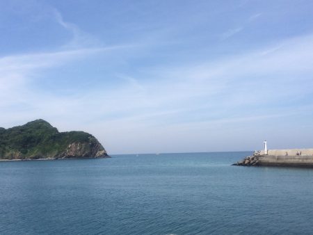 ヒラスズキとキスとイワシ♪